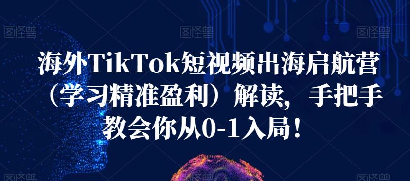 海外TikTok短视频出海启航营（学习精准盈利）解读，手把手教会你从0-1入局！副业基地_极客搞钱_中创网_福缘网_冒泡网_资源整合平台副业基地