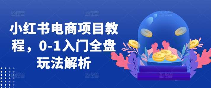 小红书电商项目教程，0-1入门全盘玩法解析副业基地_极客搞钱_中创网_福缘网_冒泡网_资源整合平台副业基地