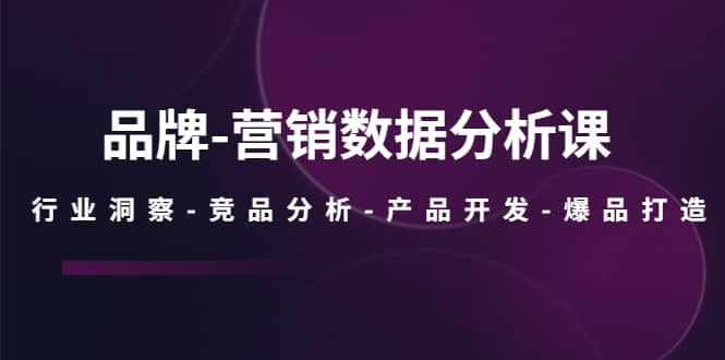 品牌-营销数据分析课，行业洞察-竞品分析-产品开发-爆品打造副业基地_极客搞钱_中创网_福缘网_冒泡网_资源整合平台副业基地