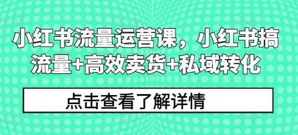 小红书流量运营课，小红书搞流量+高效卖货+私域转化副业基地_极客搞钱_中创网_福缘网_冒泡网_资源整合平台副业基地