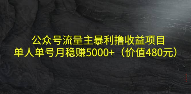 公众号流量主暴利撸收益项目，单人单号月稳赚5000+（价值480元）副业基地_极客搞钱_中创网_福缘网_冒泡网_资源整合平台副业基地