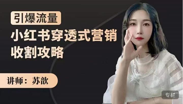 小红书穿透式营销收割攻略，引爆流量，助你玩转小红书副业基地_极客搞钱_中创网_福缘网_冒泡网_资源整合平台副业基地