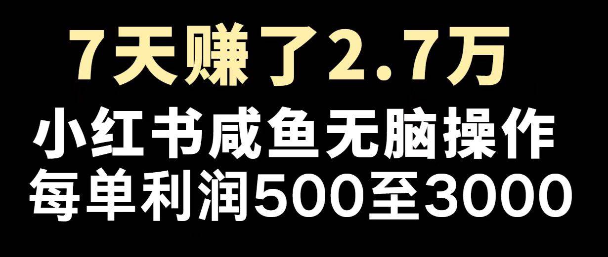 （14183期）最赚钱项目之一，2025爆火，逆风翻盘！副业基地_极客搞钱_中创网_福缘网_冒泡网_资源整合平台副业基地