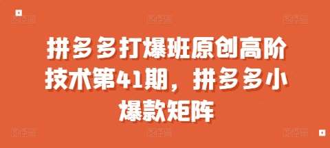 拼多多打爆班原创高阶技术第41期，拼多多小爆款矩阵副业基地_极客搞钱_中创网_福缘网_冒泡网_资源整合平台副业基地