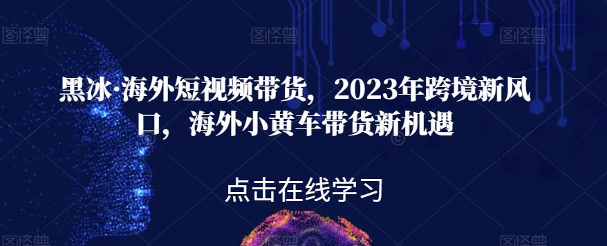 黑冰·海外短视频带货，2023年跨境新风口，海外小黄车带货新机遇副业基地_极客搞钱_中创网_福缘网_冒泡网_资源整合平台副业基地