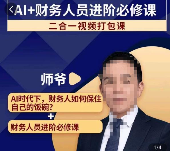 AI+财务人员进阶必修课二合一视频打包课，财务人员进阶必修课副业基地_极客搞钱_中创网_福缘网_冒泡网_资源整合平台副业基地