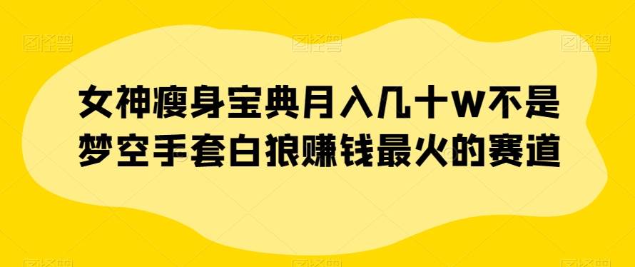 女神瘦身宝典月入几十W不是梦空手套白狼赚钱最火的赛道【揭秘】副业基地_极客搞钱_中创网_福缘网_冒泡网_资源整合平台副业基地