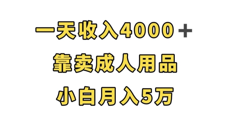 一天收入4000+，靠卖成人用品，小白轻松月入5万【揭秘】副业基地_极客搞钱_中创网_福缘网_冒泡网_资源整合平台副业基地