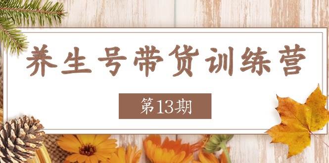 （11275期）养生号-带货训练营【第13期】收益更稳定的玩法，让你带货收益爆炸副业基地_极客搞钱_中创网_福缘网_冒泡网_资源整合平台副业基地