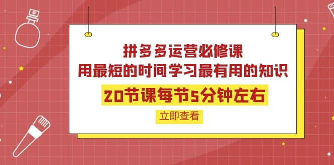 拼多多运营必修课：20节课每节5分钟左右，用最短的时间学习最有用的知识副业基地_极客搞钱_中创网_福缘网_冒泡网_资源整合平台副业基地