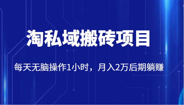 价值2980的淘私域搬砖项目，每天无脑操作1小时，月入2万后期躺赚副业基地_极客搞钱_中创网_福缘网_冒泡网_资源整合平台副业基地