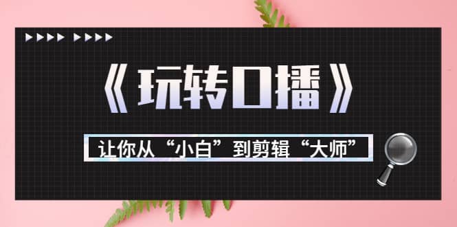 月营业额700万+大佬教您《玩转口播》让你从“小白”到剪辑“大师”副业基地_极客搞钱_中创网_福缘网_冒泡网_资源整合平台副业基地