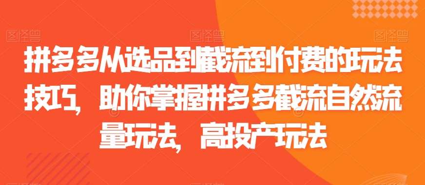 拼多多从选品到截流到付费的玩法技巧，助你掌握拼多多截流自然流量玩法，高投产玩法副业基地_极客搞钱_中创网_福缘网_冒泡网_资源整合平台副业基地