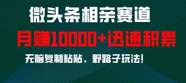 微头条相亲赛道，迅速积累，无脑复制粘贴，野路子玩法，月入1w副业基地_极客搞钱_中创网_福缘网_冒泡网_资源整合平台副业基地
