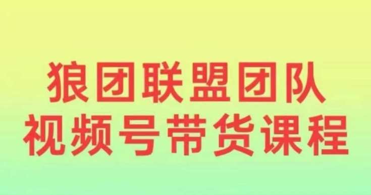 狼团联盟2024视频号带货，0基础小白快速入局视频号副业基地_极客搞钱_中创网_福缘网_冒泡网_资源整合平台副业基地