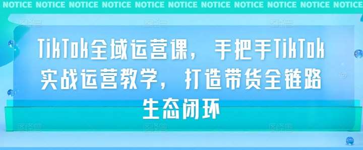 TikTok全域运营课，手把手TikTok实战运营教学，打造带货全链路生态闭环副业基地_极客搞钱_中创网_福缘网_冒泡网_资源整合平台副业基地