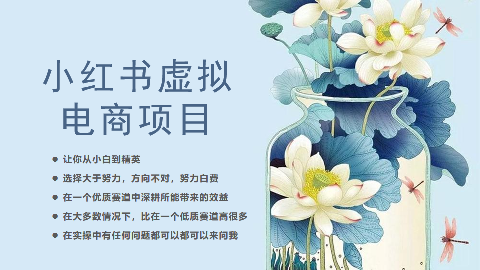 小红书虚拟电商从0到1小白到精英（20节实操课程）副业基地_极客搞钱_中创网_福缘网_冒泡网_资源整合平台副业基地