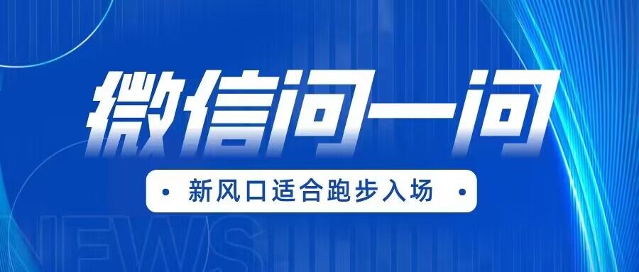 全网首发微信问一问新风口变现项目（价值1999元）副业基地_极客搞钱_中创网_福缘网_冒泡网_资源整合平台副业基地