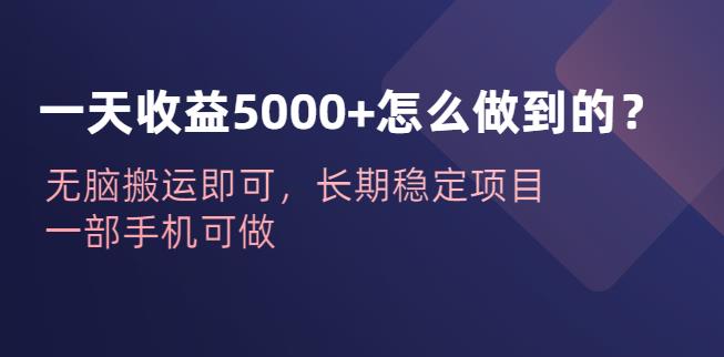 一天收益5000+怎么做到的？无脑搬运即可，长期稳定项目，一部手机可做【揭秘】副业基地_极客搞钱_中创网_福缘网_冒泡网_资源整合平台副业基地