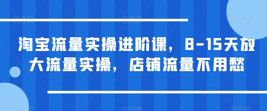 淘宝流量实操进阶课，8-15天放大流量实操，店铺流量不用愁副业基地_极客搞钱_中创网_福缘网_冒泡网_资源整合平台副业基地