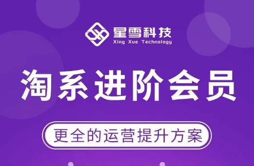 星雪·淘系进阶课程，快速提升突破技能流量瓶颈必备（更新2023年5月）副业基地_极客搞钱_中创网_福缘网_冒泡网_资源整合平台副业基地