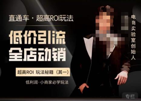 电商冰可乐·直通车·《低价引流·全店动销》，直通车·超高ROI玩法（其一）全店动销必学玩法副业基地_极客搞钱_中创网_福缘网_冒泡网_资源整合平台副业基地