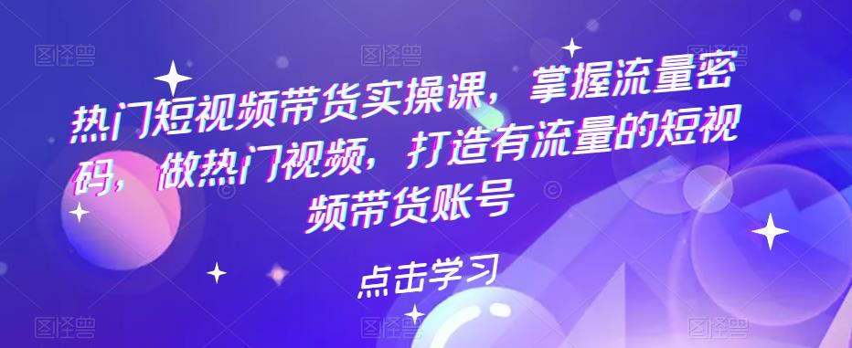 热门短视频带货实操课，掌握流量密码，做热门视频，打造有流量的短视频带货账号副业基地_极客搞钱_中创网_福缘网_冒泡网_资源整合平台副业基地