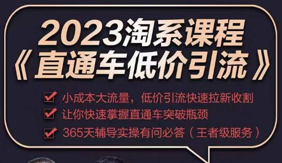 2023直通车低价引流玩法课程，小成本大流量，低价引流快速拉新收割，让你快速掌握直通车突破瓶颈副业基地_极客搞钱_中创网_福缘网_冒泡网_资源整合平台副业基地
