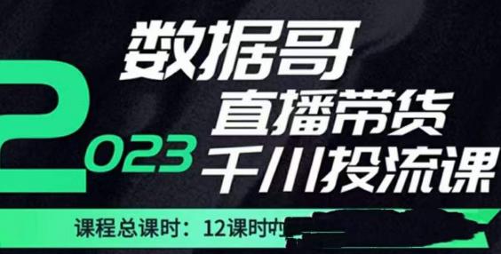 数据哥2023直播电商巨量千川付费投流实操课，快速掌握直播带货运营投放策略副业基地_极客搞钱_中创网_福缘网_冒泡网_资源整合平台副业基地