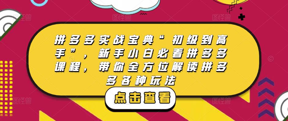 拼多多实战宝典“初级到高手”，新手小白必看拼多多课程，带你全方位解读拼多多各种玩法副业基地_极客搞钱_中创网_福缘网_冒泡网_资源整合平台副业基地