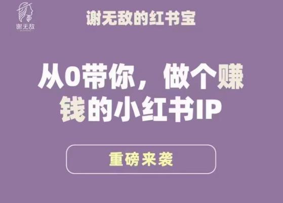 谢无敌·小红书运营大宝典，从0带你做个赚钱的小红书IP副业基地_极客搞钱_中创网_福缘网_冒泡网_资源整合平台副业基地