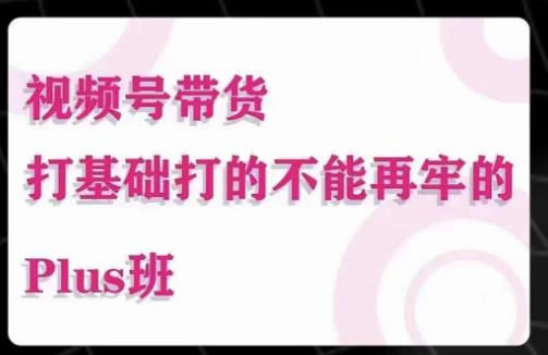 大播汇·视频号带货Puls班，视频号底层逻辑，起号自然流鱼塘等玩法副业基地_极客搞钱_中创网_福缘网_冒泡网_资源整合平台副业基地