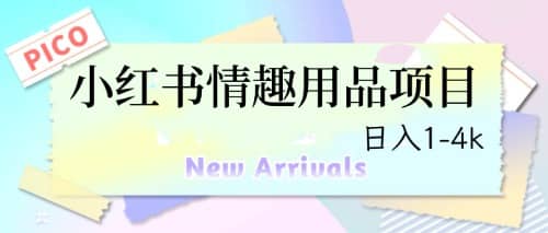 最新小红书情趣用品项目，日入1-4k副业基地_极客搞钱_中创网_福缘网_冒泡网_资源整合平台副业基地