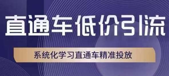 直通车低价引流课，系统化学习直通车精准投放副业基地_极客搞钱_中创网_福缘网_冒泡网_资源整合平台副业基地