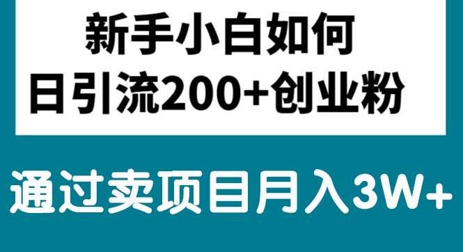 （10843期）新手小白日引流200+创业粉,通过卖项目月入3W+副业基地_极客搞钱_中创网_福缘网_冒泡网_资源整合平台副业基地