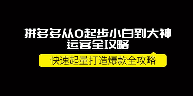 拼多多从0起步小白到大神运营全攻略副业基地_极客搞钱_中创网_福缘网_冒泡网_资源整合平台副业基地
