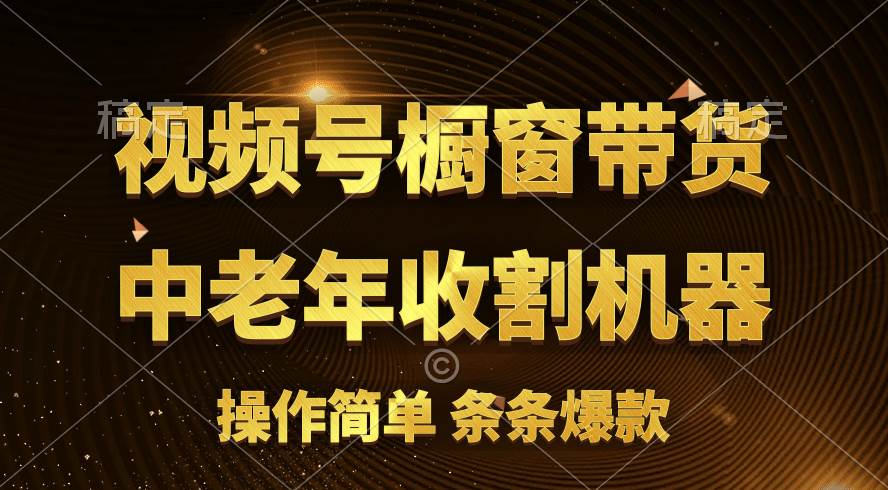 （11009期）[你的孩子成功取得高位]视频号最火爆赛道，橱窗带货，流量分成计划，条…副业基地_极客搞钱_中创网_福缘网_冒泡网_资源整合平台副业基地