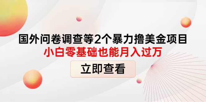 国外问卷调查等2个暴力撸美元项目，小白零基础也能月入过万副业基地_极客搞钱_中创网_福缘网_冒泡网_资源整合平台副业基地