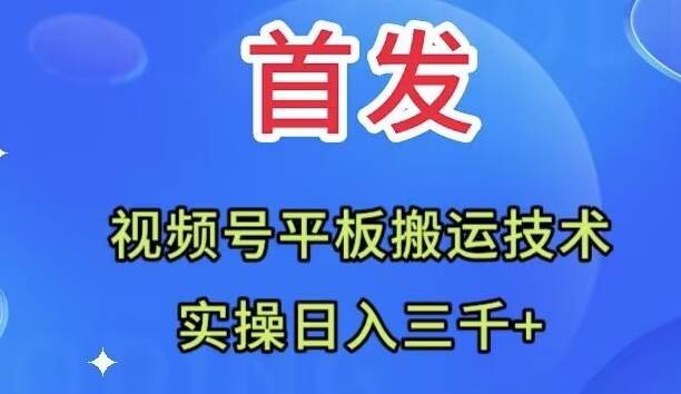 （7843期）全网首发：视频号平板搬运技术，实操日入三千＋副业基地_极客搞钱_中创网_福缘网_冒泡网_资源整合平台副业基地
