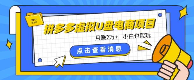 拼多多虚拟U盘电商红利项目：月赚2万+，新手小白也能玩副业基地_极客搞钱_中创网_福缘网_冒泡网_资源整合平台副业基地