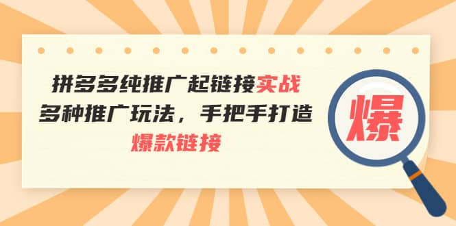 拼多多纯推广起链接实战：多种推广玩法，手把手打造爆款链接副业基地_极客搞钱_中创网_福缘网_冒泡网_资源整合平台副业基地