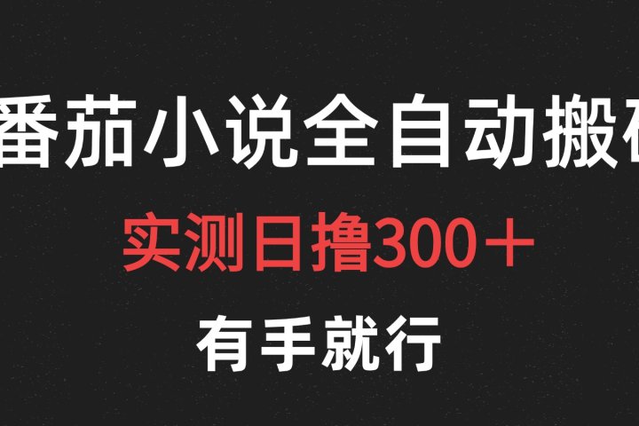 最新番茄小说挂机搬砖，日撸300＋！有手就行，可矩阵放大副业基地_极客搞钱_中创网_福缘网_冒泡网_资源整合平台副业基地