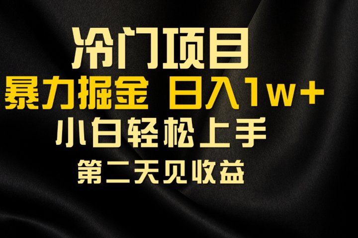冷门项目，靠一款软件日入10000+暴力掘金小白轻松上手，第二天见收益副业基地_极客搞钱_中创网_福缘网_冒泡网_资源整合平台副业基地