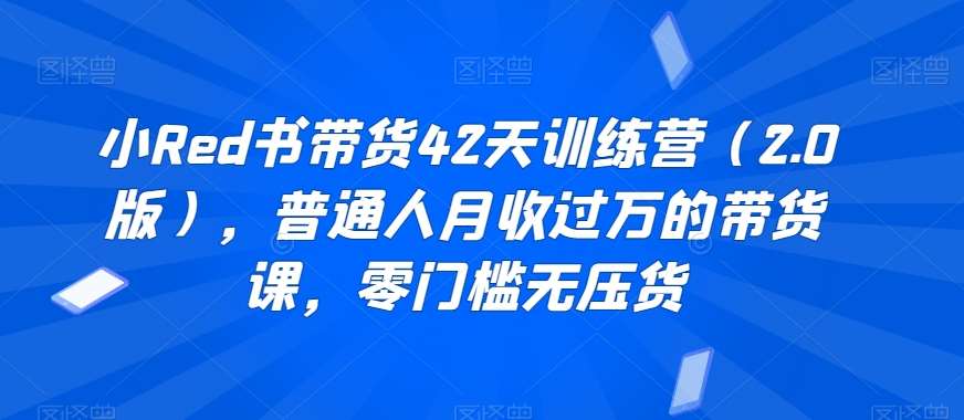 小Red书带货42天训练营（2.0版），普通人月收过万的带货课，零门槛无压货副业基地_极客搞钱_中创网_福缘网_冒泡网_资源整合平台副业基地