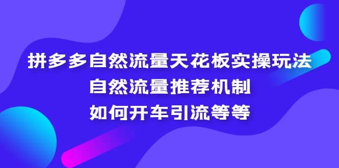 拼多多自然流量天花板实操玩法：自然流量推荐机制，如何开车引流等等副业基地_极客搞钱_中创网_福缘网_冒泡网_资源整合平台副业基地