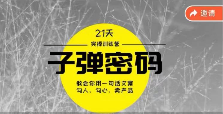 《子弹密码训练营》-用一句话文案勾人勾心卖产品，21天学到顶尖文案大师策略和技巧副业基地_极客搞钱_中创网_福缘网_冒泡网_资源整合平台副业基地