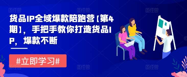货品IP全域爆款陪跑营【第4期】，手把手教你打造货品IP，爆款不断副业基地_极客搞钱_中创网_福缘网_冒泡网_资源整合平台副业基地