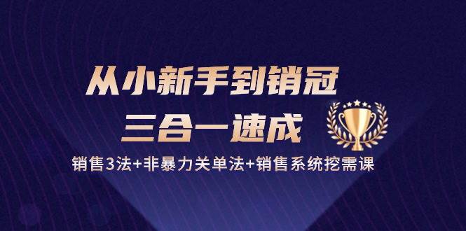 从小新手到销冠三合一速成：销售3法+非暴力关单法+销售系统挖需课 (27节)副业基地_极客搞钱_中创网_福缘网_冒泡网_资源整合平台副业基地