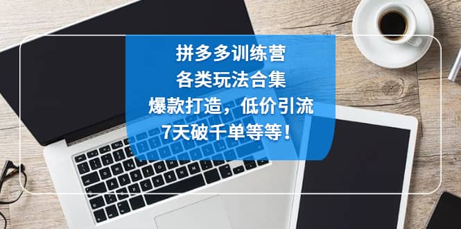 拼多多训练营：各玩法合集，爆款打造，低价引流，7天破千单等等副业基地_极客搞钱_中创网_福缘网_冒泡网_资源整合平台副业基地