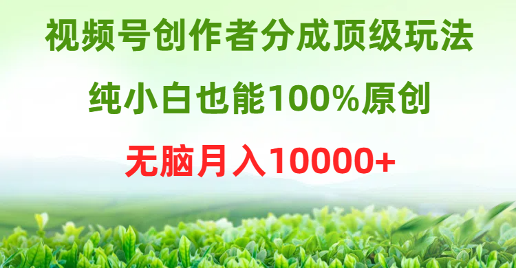 视频号创作者分成顶级玩法，纯小白也能100%原创，无脑月入10000+副业基地_极客搞钱_中创网_福缘网_冒泡网_资源整合平台副业基地